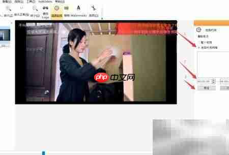 Remove Logo Now去水印时间选择技巧