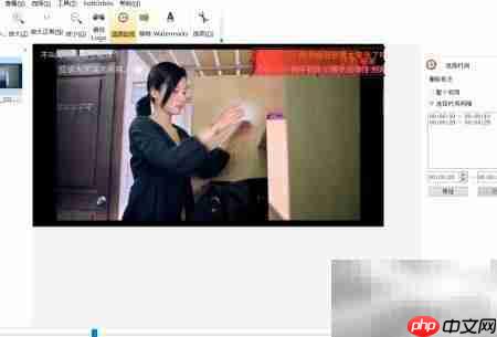 Remove Logo Now去水印时间选择技巧