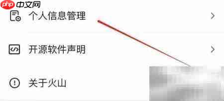 抖音火山版个人信息管理入口
