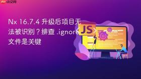 Nx 16.7.4 升级后项目无法被识别?排查 .ignore 文件是关键