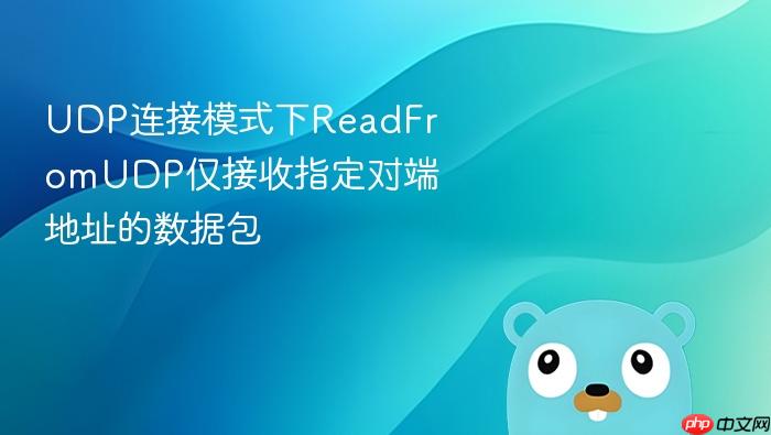 UDP连接模式下ReadFromUDP仅接收指定对端地址的数据包