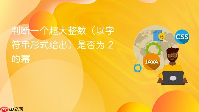 判断一个超大整数(以字符串形式给出)是否为 2 的幂