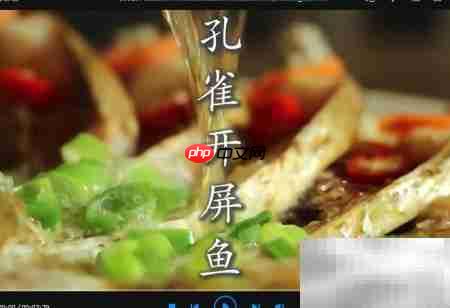 播放器打开在线视频方法