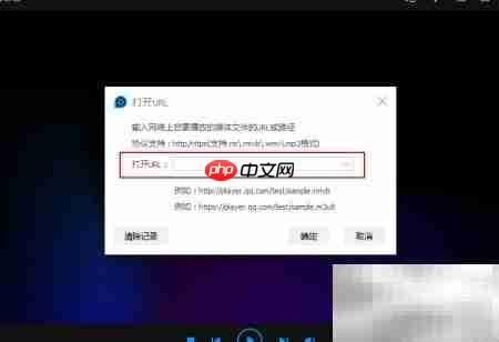 播放器打开在线视频方法