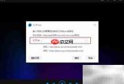 播放器打开在线视频方法