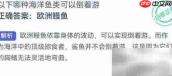 哪种鱼能倒着游？支付宝神奇海洋