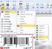 药品标签与电子监管码制作