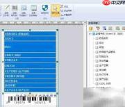 药品标签与电子监管码制作