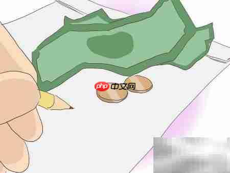 家政创业入门指南