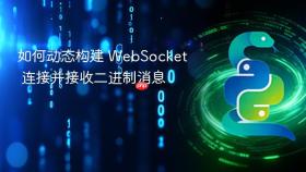 如何动态构建 WebSocket 连接并接收二进制消息