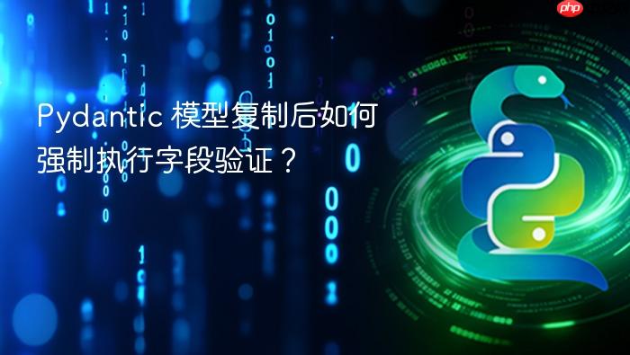 Pydantic 模型复制后如何强制执行字段验证?