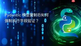 Pydantic 模型复制后如何强制执行字段验证?