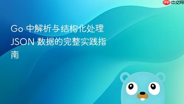 Go 中解析与结构化处理 JSON 数据的完整实践指南