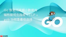 Go 服务间高频小数据传输性能优化指南:TCP + gob 为何是最佳选择