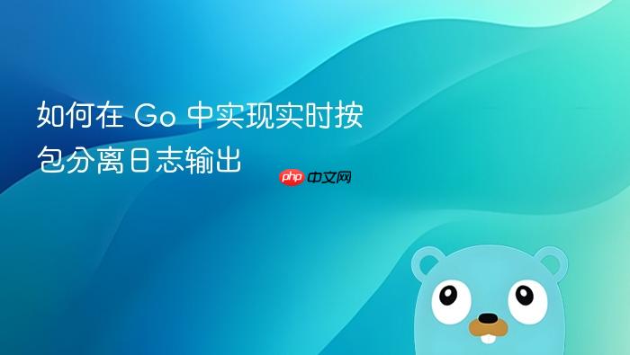 如何在 Go 中实现实时按包分离日志输出
