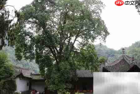 留坝太子岭自驾游攻略