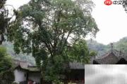 留坝太子岭自驾游攻略