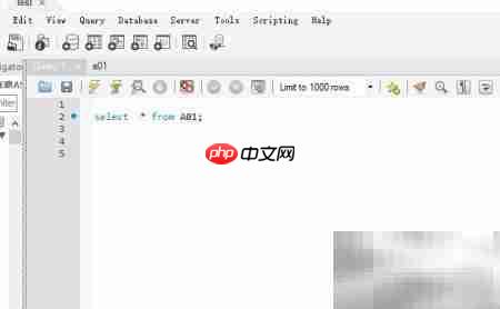 Workbench标题显示设置方法
