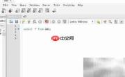 Workbench标题显示设置方法