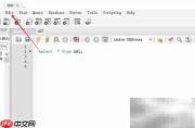 Workbench标题显示设置方法