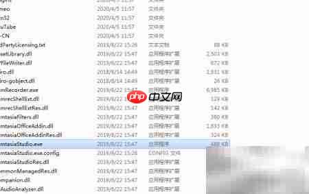 Camtasia 2019激活方法