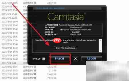Camtasia 2019激活方法