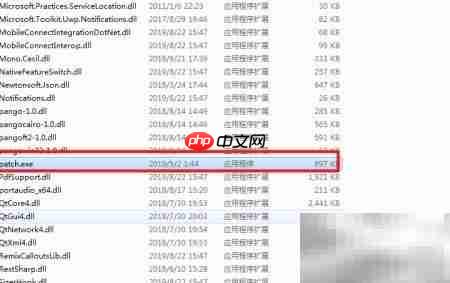 Camtasia 2019激活方法