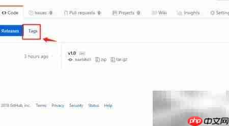 GitHub查看标签方法