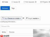 GitHub查看标签方法