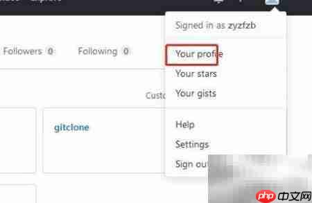GitHub查看标签方法