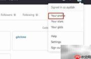 GitHub查看标签方法