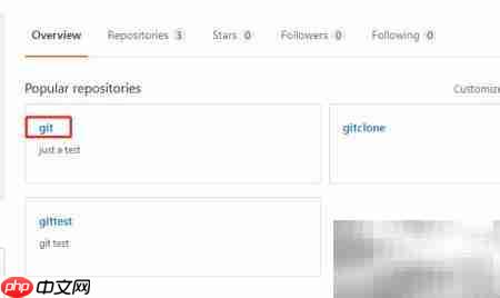 GitHub查看标签方法