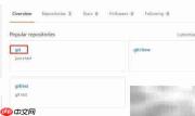 GitHub查看标签方法
