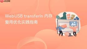 WebUSB transferIn 内存复用优化实践指南
