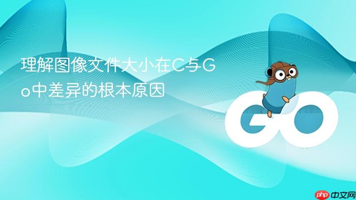 理解图像文件大小在C与Go中差异的根本原因