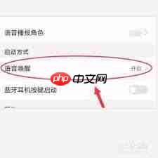 华为语音助手如何修改播报角色