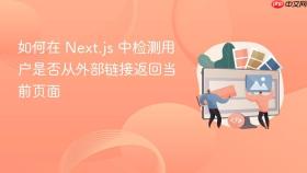 如何在 Next.js 中检测用户是否从外部链接返回当前页面
