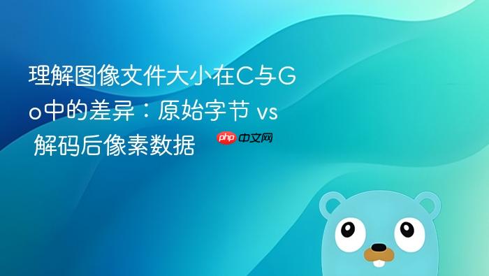 理解图像文件大小在C与Go中的差异:原始字节 vs 解码后像素数据