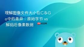 理解图像文件大小在C与Go中的差异:原始字节 vs 解码后像素数据