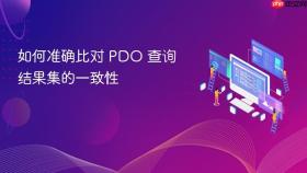如何准确比对 PDO 查询结果集的一致性
