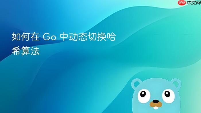 如何在 Go 中动态切换哈希算法