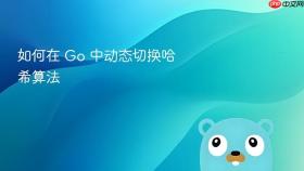 如何在 Go 中动态切换哈希算法