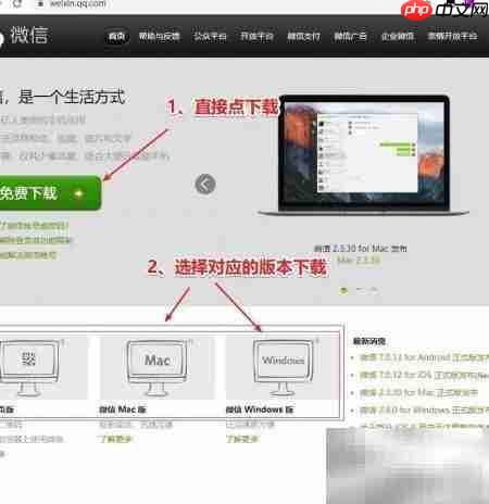 微信QQ官方下载指南