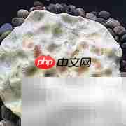 陕西石子馍:古法烤制的香脆小吃