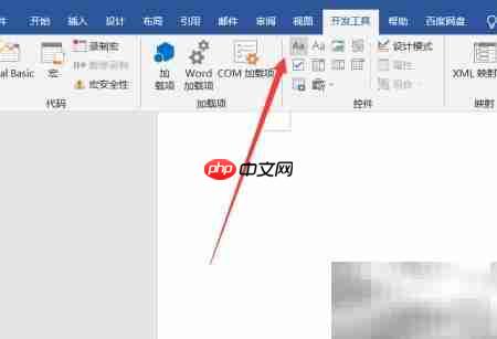 Word插入文本控件方法