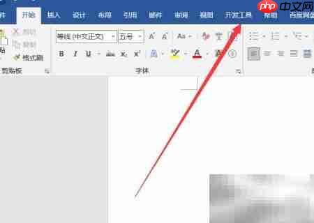 Word插入文本控件方法