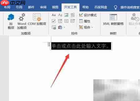 Word插入文本控件方法