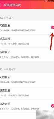 爱听如何设置手机在线音质