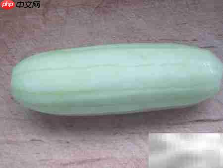 夏日拍黄瓜做法