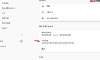 谷歌浏览器如何打开摄像头-谷歌浏览器打开摄像头的方法